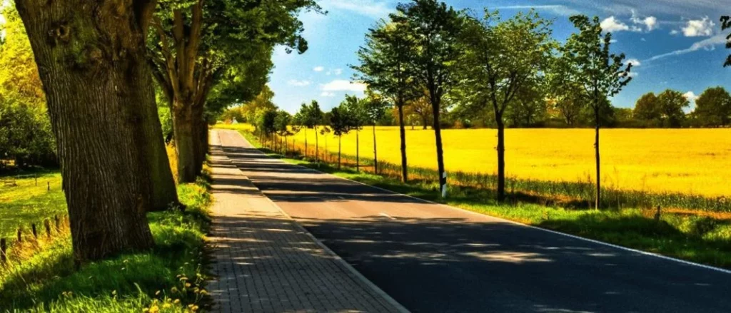 2025 AMDA Revision Primavera Filtro Polen Alergia 1 Motor16