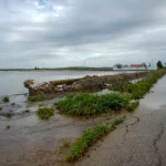 Las inundaciones en Tailandia se vuelven ‘nueva normalidad’ para Toyota y Honda