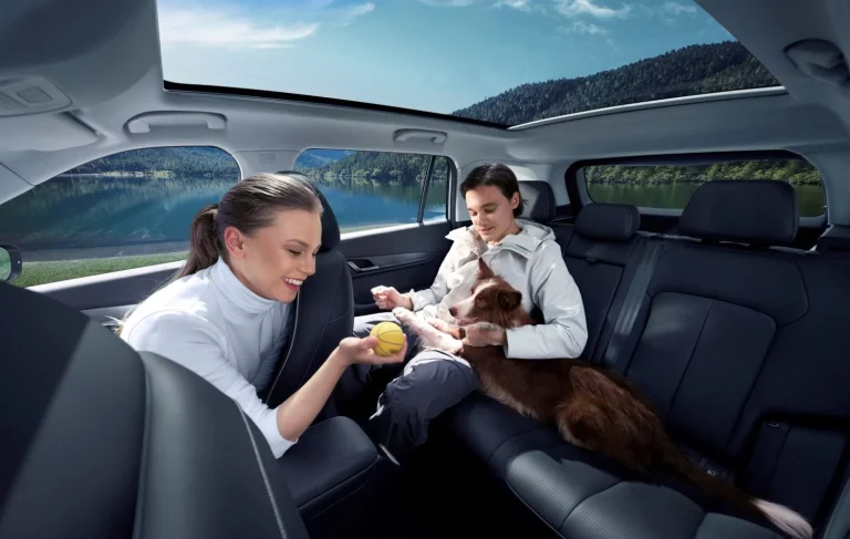 JAECOO 5: El detalle que hace a este SUV un coche a prueba de mascotas