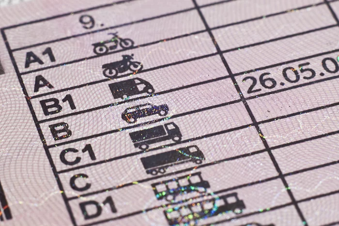 carnet conducir