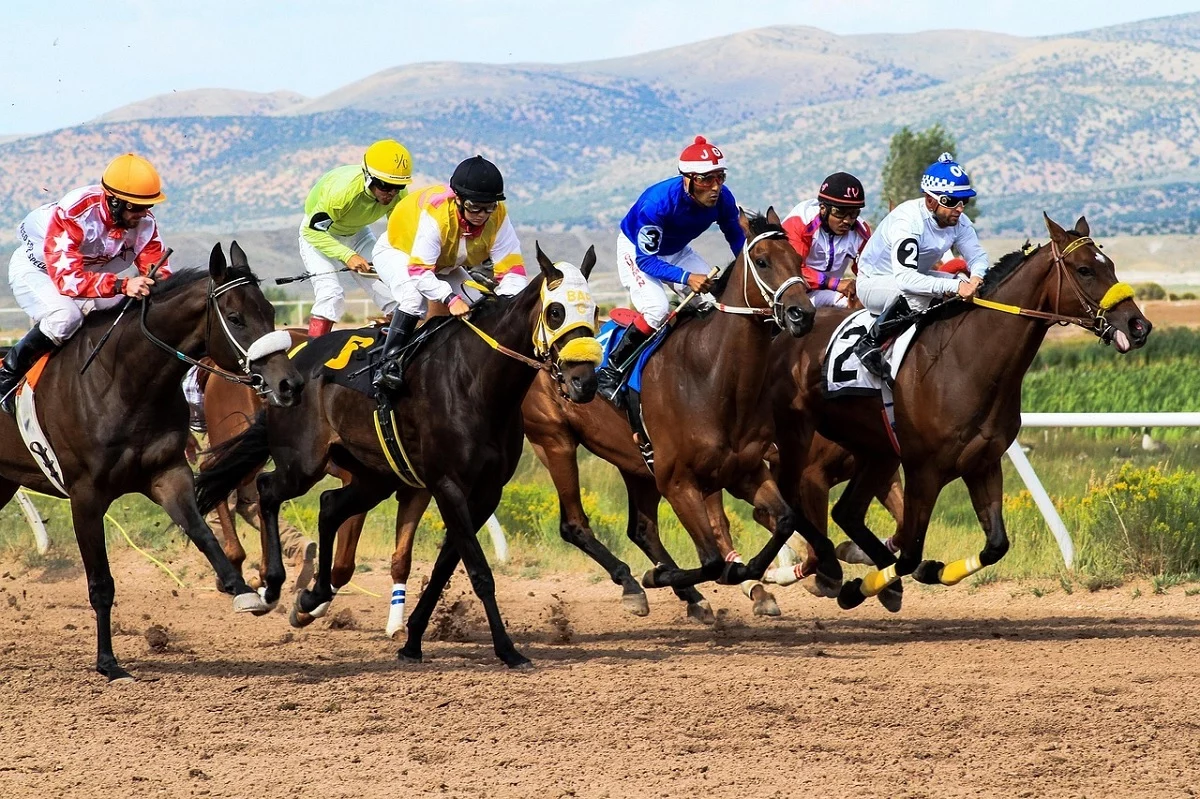 Apuestas deportivas Apuestas deportivas