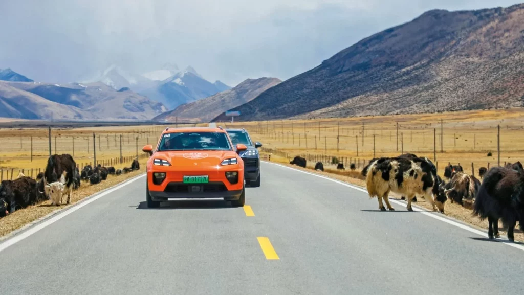 El impresionante viaje de 44 días que Porsche se ha pegado por la Ruta 66 china 1 Motor16 2025 Porsche Ruta 318 China. Imagen movimiento.
