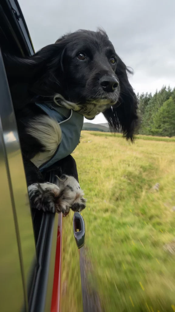 2025 Ruffwear x Isuzu 10 Motor16
