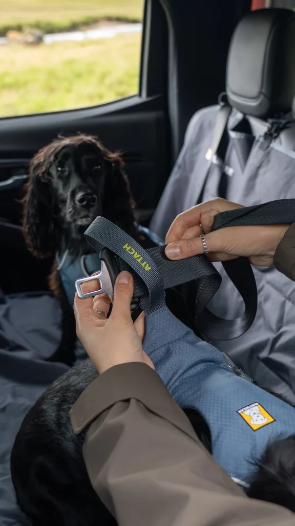 2025 Ruffwear x Isuzu 11 Motor16