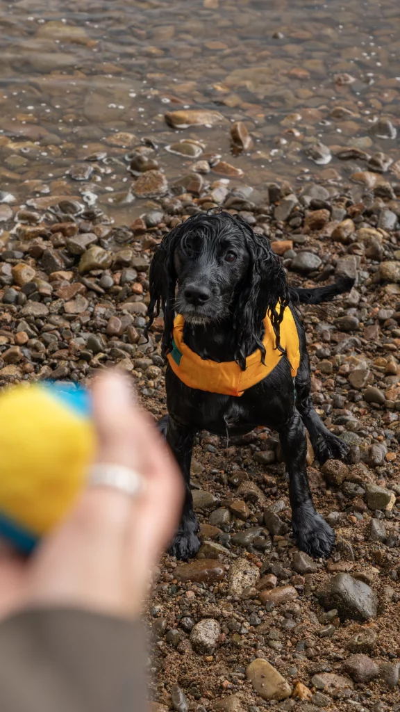 2025 Ruffwear x Isuzu 17 Motor16