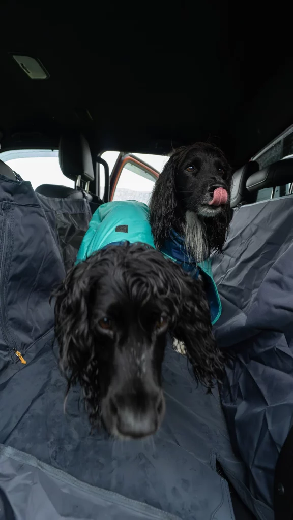 2025 Ruffwear x Isuzu 30 Motor16