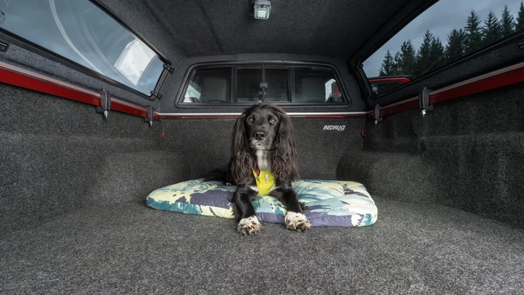 2025 Isuzu. Ruffwear. Imagen maletero.