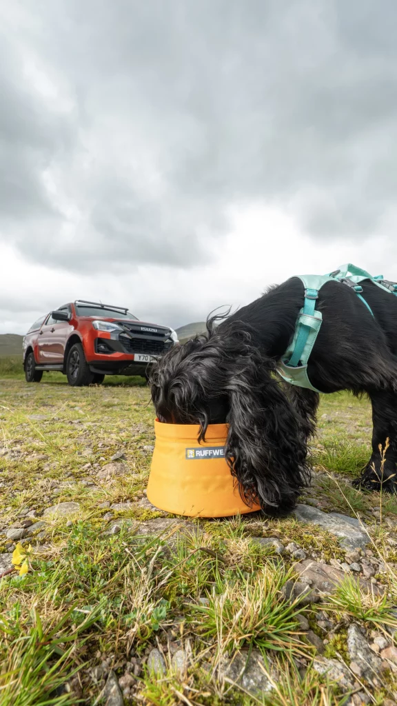 2025 Ruffwear x Isuzu 7 Motor16