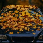 Los mecánicos de talleres oficiales alertan: 5 averías típicas en otoño que disparan tu factura hasta 3.000 euros