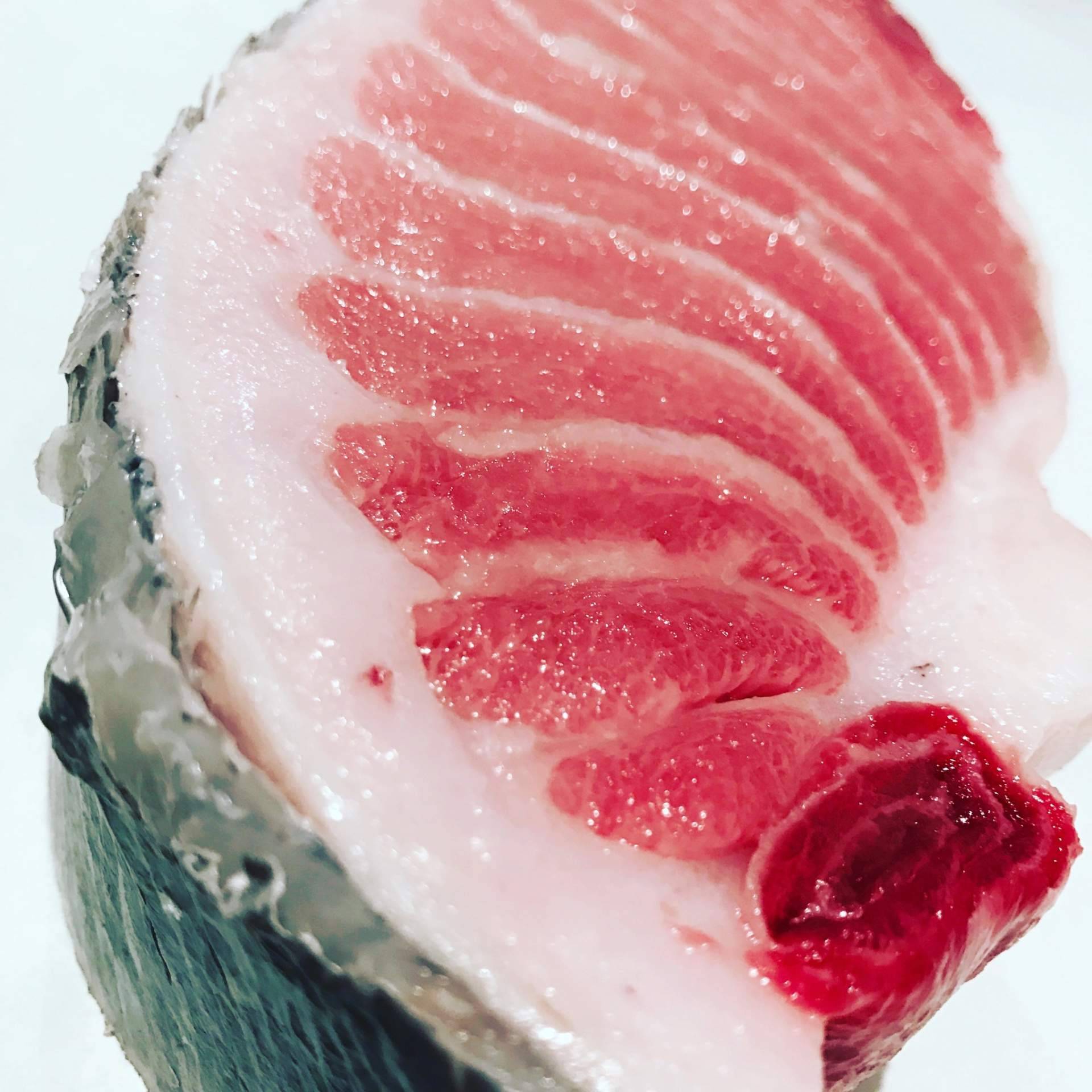 Japón lidera la revolución del frío; PROTON redefine la congelación en alimentación y biotecnología