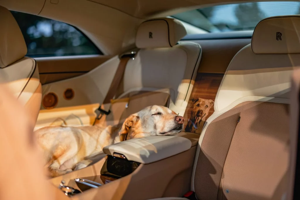 Este Rolls-Royce Spectre es un one-off muy especial 13 Motor16 Este Rolls-Royce Spectre es un one-off muy especial