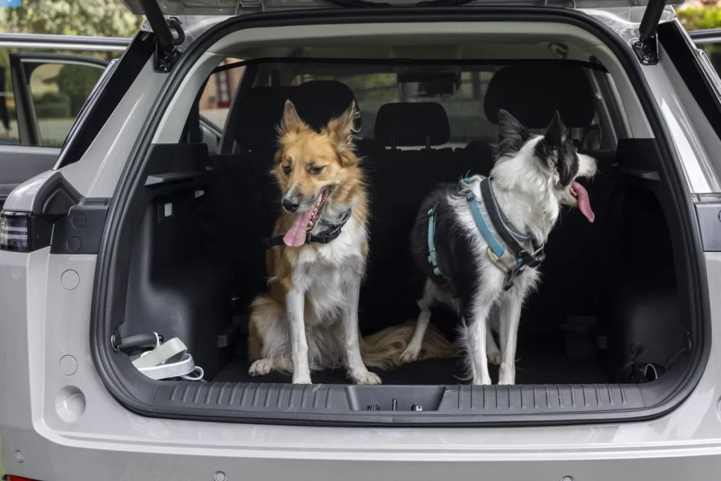 Los creadores del coche 'pet-friendly' te dan 5 consejos para viajar con tu mascota 7 Motor16 2025 Jaecoo 5 mascota pet friendly 3 Motor16