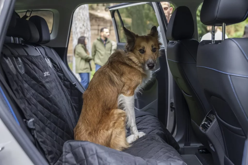 Los creadores del coche 'pet-friendly' te dan 5 consejos para viajar con tu mascota 10 Motor16 2025 Jaecoo 5 mascota pet friendly 5 Motor16