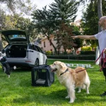 Los creadores del coche ‘pet-friendly’ te dan 5 consejos para viajar con tu mascota