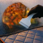 Top 10 accesorios para tu coche este otoño: desde rascadores hasta fundas térmicas