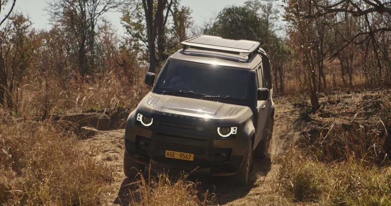 Defender ya tiene finalistas para sus premios internacionales: proyectos para salvar el mundo