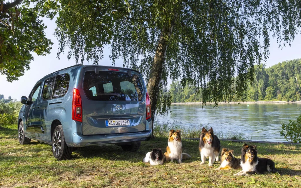 Opel Combo electrico 6 Motor16
