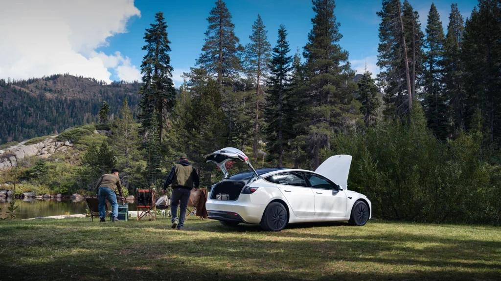 TESLA MODEL 3 STANDARD 17 Motor16