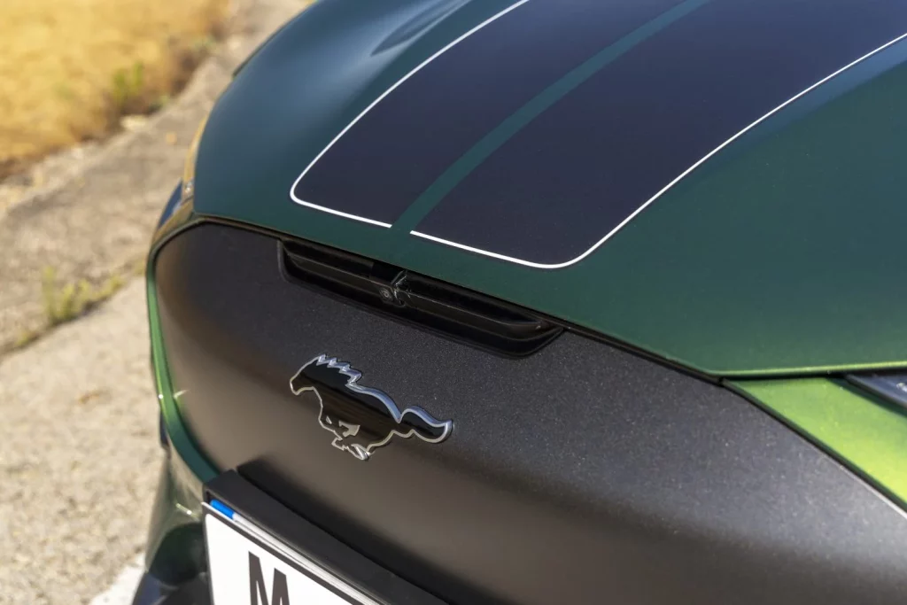 Prueba del Ford Mustang Mach-E Rally: ¡Tierra a la vista! 9 Motor16 Prueba del Ford Mustang Mach-E Rally: ¡Tierra a la vista!