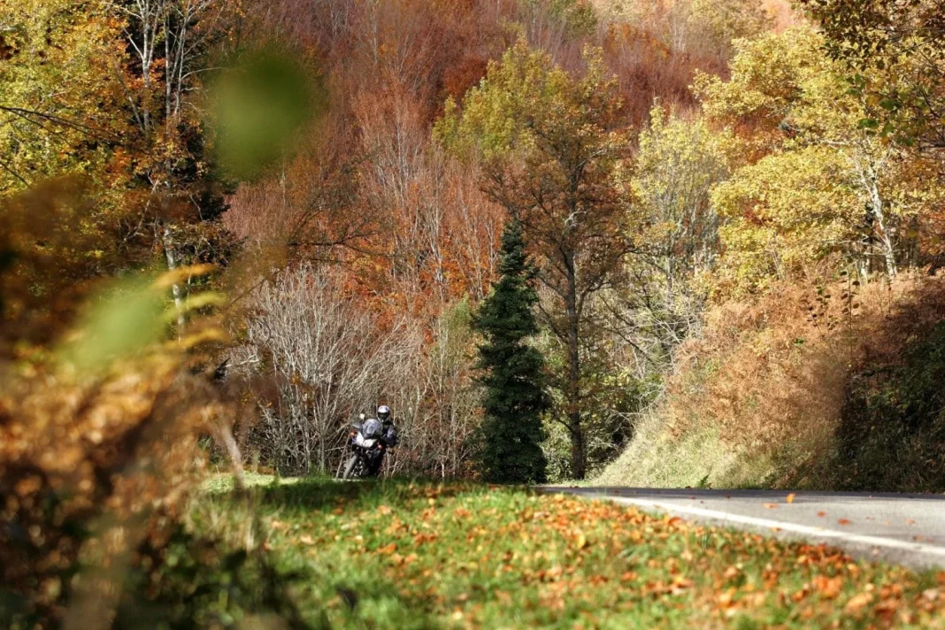 moto otoño