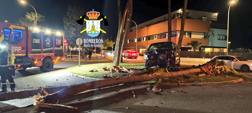 Pérdida del carnet, indemnizaciones, cárcel… El complicado futuro de Cayetano Rivera tras su accidente de tráfico 2 Motor16 cayetano rivera palmera rotonda