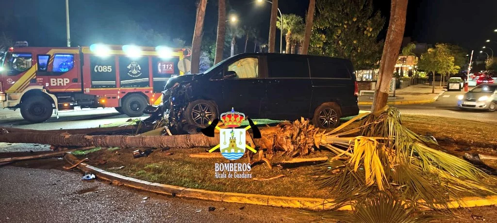 Pérdida del carnet, indemnizaciones, cárcel… El complicado futuro de Cayetano Rivera tras su accidente de tráfico 1 Motor16 cayetano rivera palmera rotonda