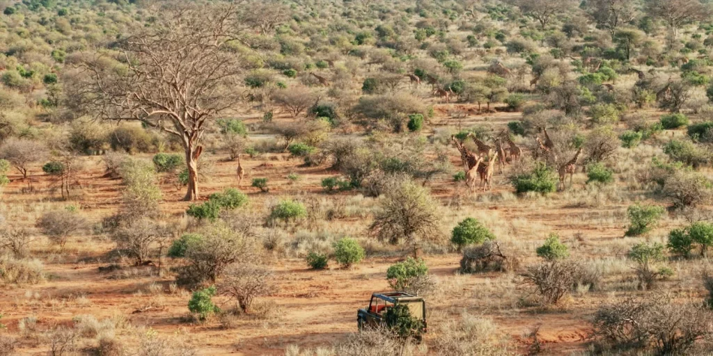 LAND ROVER DEFENDER ELECTRICOS KENIA ELECTROGENIC 17 1 Motor16