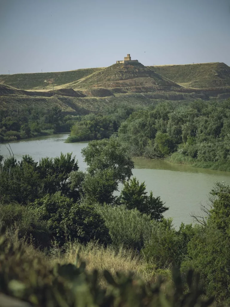 LEXUS RZ Hermanos Torres 15 Motor16