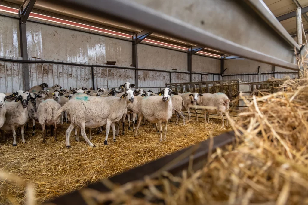 Ruta Motor16 VolvoEX90 Matasnos 15 11 Motor16