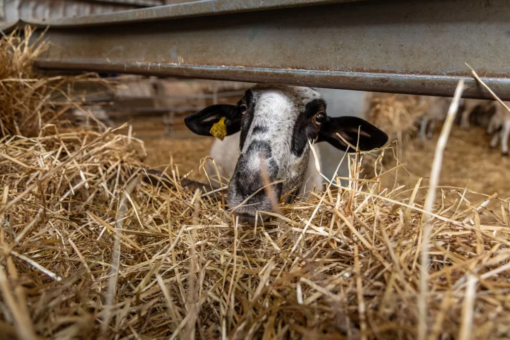 Ruta Motor16 VolvoEX90 Matasnos 15 12 Motor16