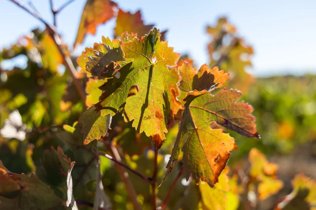 Ruta Motor16 VolvoEX90 Matasnos 15 3 Motor16