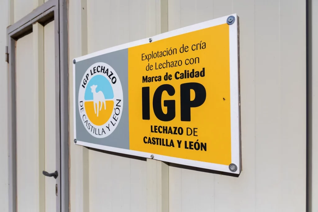 Ruta Motor16 VolvoEX90 Matasnos 15 9 Motor16