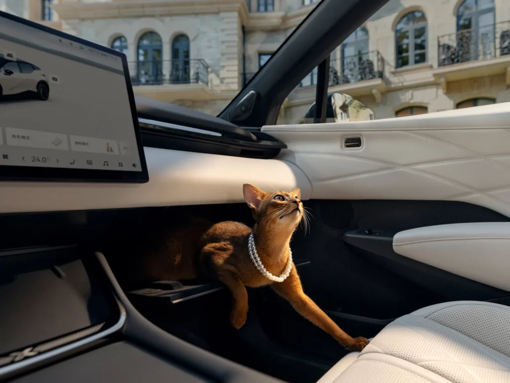 ZEEKR X 2025 11 Motor16