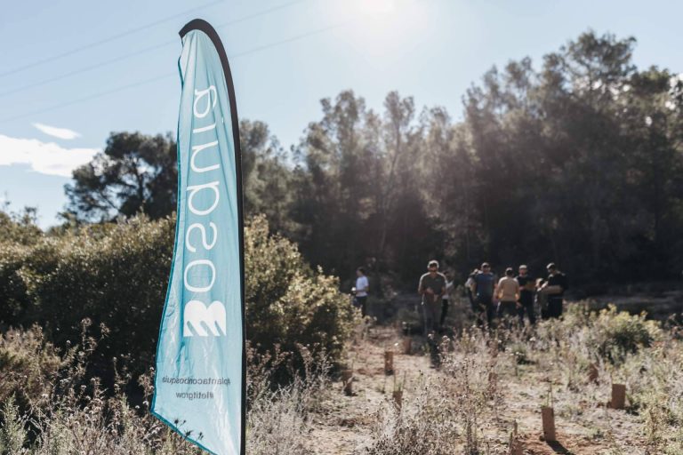 Reforestación corporativa con Bosquia Nature; una estrategia climática con retorno empresarial