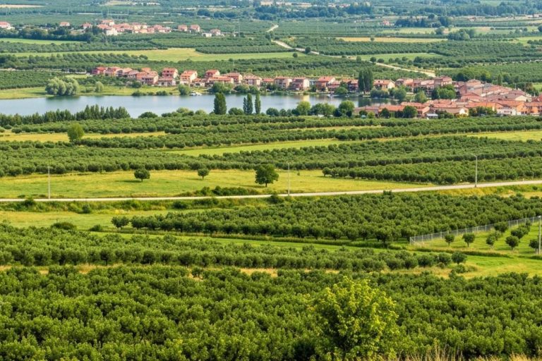 Teletrabajo y nueva movilidad; el campo gana talento