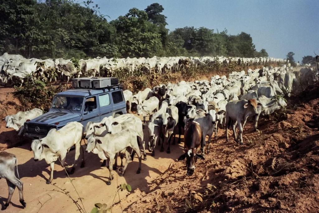 2014 clase g 35 anos edicion conmemorativa 23 Motor16