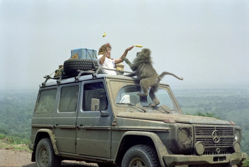 2014 clase g 35 anos edicion conmemorativa 5 Motor16