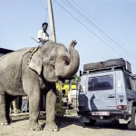 45 años de Mercedes Clase G: En 2014, el todoterreno alemán celebraba así su 35.º cumpleaños