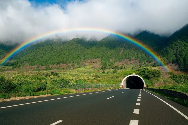 Si viajas a La Palma, este es ‘el túnel de tiempo’ que debes atravesar con el coche: «Es como cambiar de planeta»
