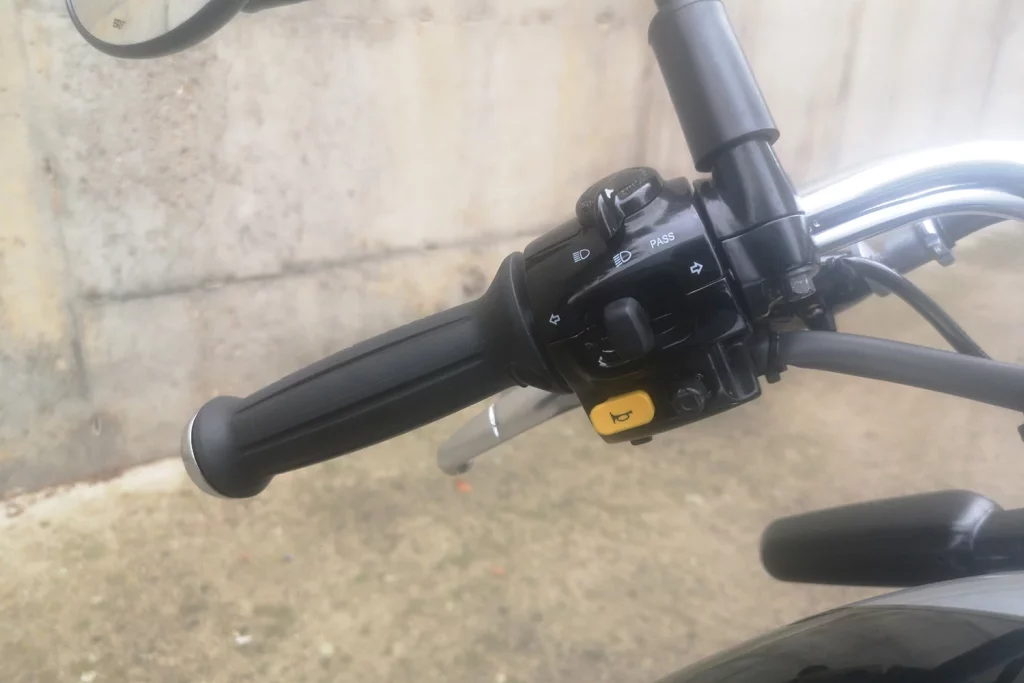 Royal Enfield Bear 650 15 Motor16