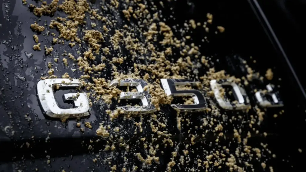 2016 g 350 d professional 4 Motor16