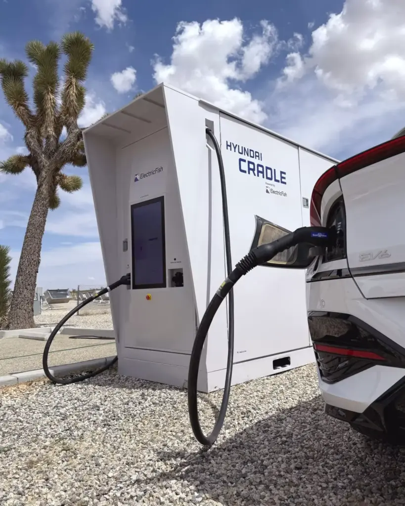 2026 Electric Fish Turbo Charge Cargador 1 Motor16