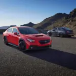 El Subaru WRX remonta sus ventas en Estados Unidos tras su peor año: el recorte de 4.600 dólares que lo reactiva