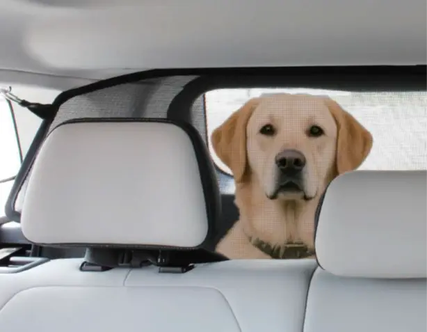 JAECOO se marca una línea de accesorios pensados para tus perros y gatos 4 Motor16 2026 JAECOO accesorios mascotas. Imagen.