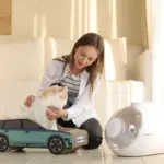 JAECOO se marca una línea de accesorios pensados para tus perros y gatos