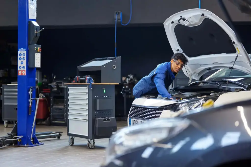 Norauto general Motor16