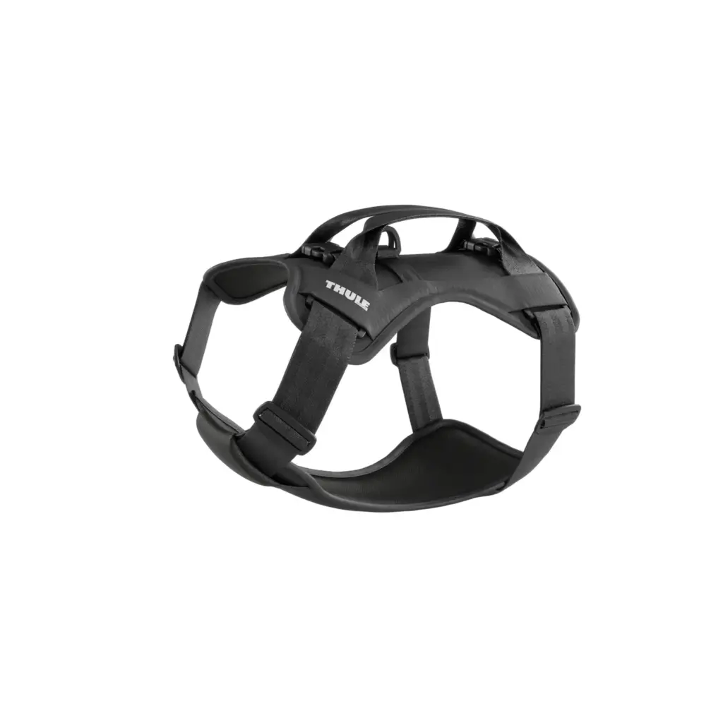 Small ThuleCappy M Iso P 771002 Motor16