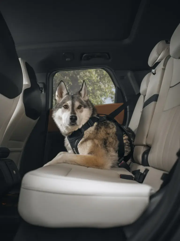 Thule Cappy LS Malmo¦e B0010445 Motor16