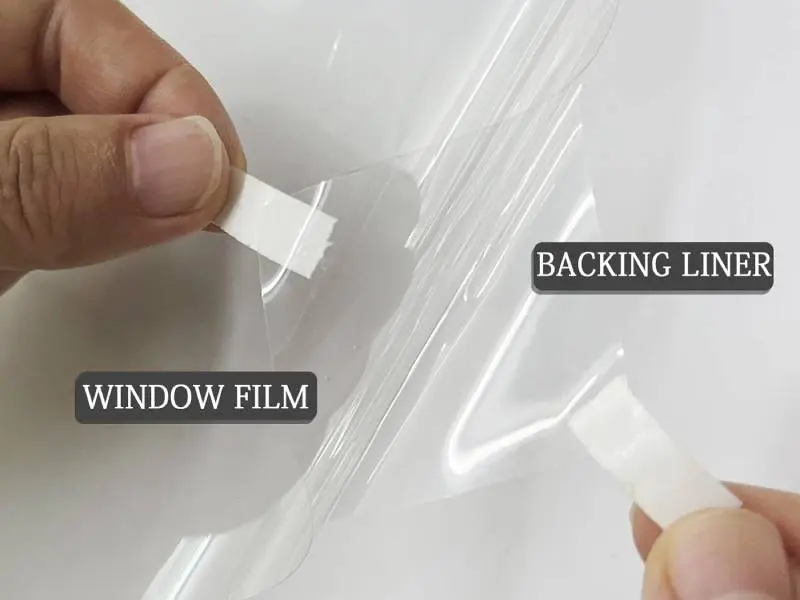 lamina protección Amazon