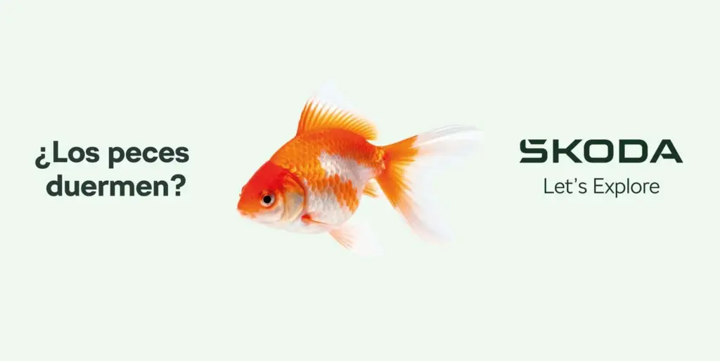 Škoda reivindica la curiosidad como parte fundamental de la filosofía de marca 5 Motor16 Exploremos el motor skoda516